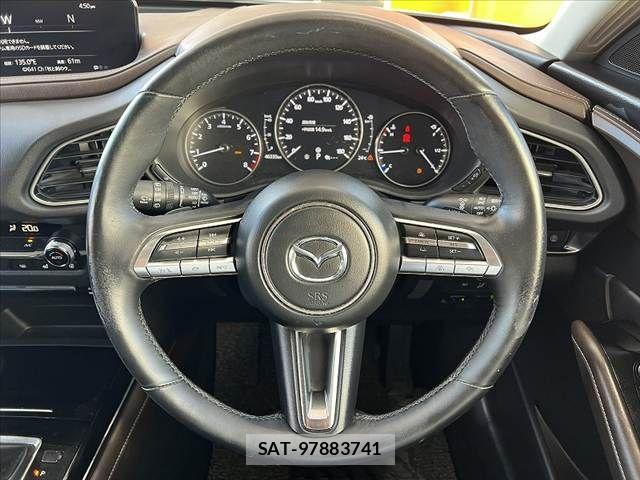 Mazda CX-30 2019-10 6903871-26