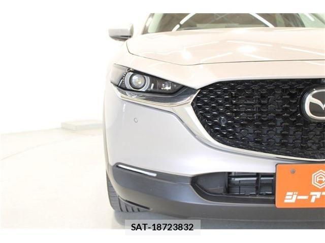 Mazda CX-30 2024-03 6992852-15
