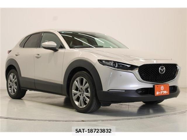 Mazda CX-30 2024-03 6992852-5