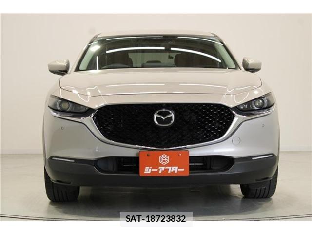 Mazda CX-30 2024-03 6992852-6