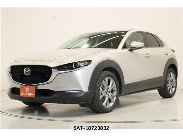 Mazda CX-30 2024-03 6992852-7