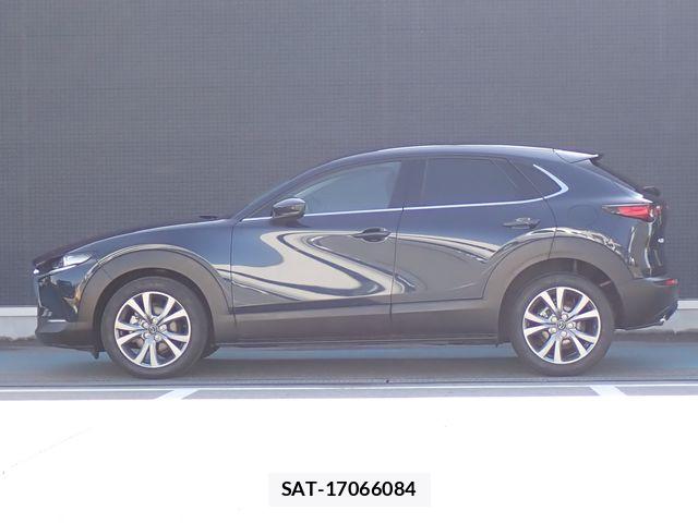 Mazda CX-30 2021-03 6992856-17