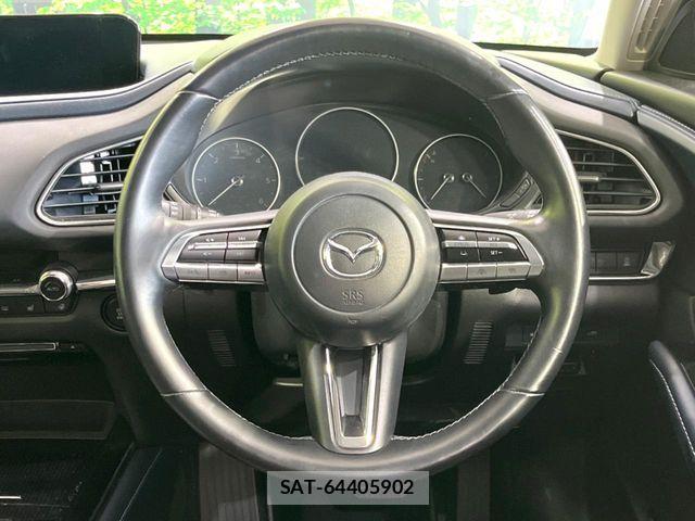 Mazda CX-30 2021-07 6992864-10
