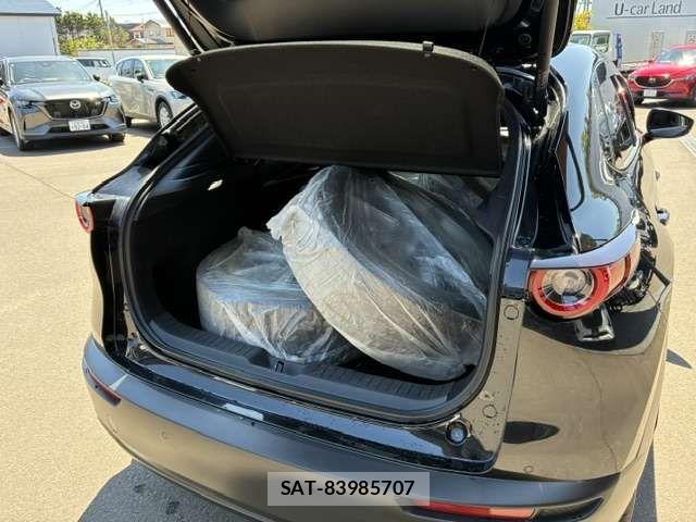 Mazda CX-30 2024-03 7020282-17