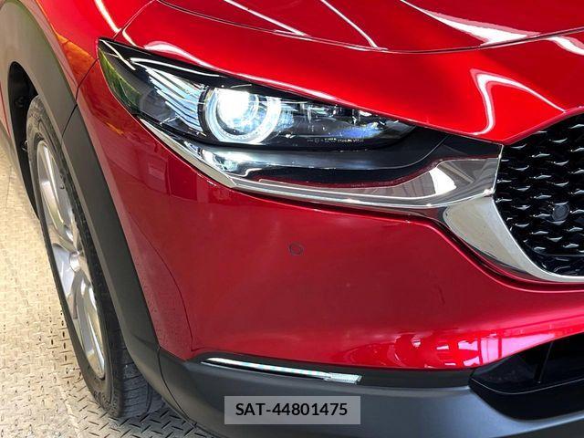 Mazda CX-30 2020-02 7216821-12