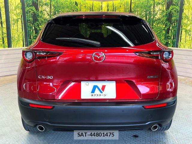 Mazda CX-30 2020-02 7216821-15