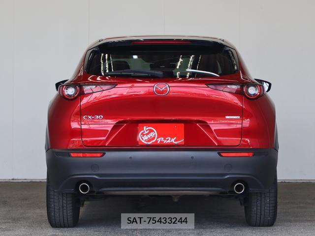 Mazda CX-30 2023-02 7216857-14