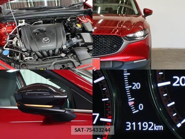 Mazda CX-30 2023-02 7216857-2