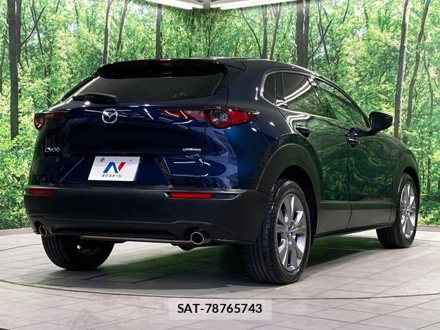 Mazda CX-30 2019-11 7216815-16
