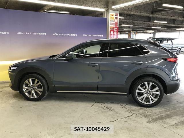 Mazda CX-30 2022-07 7216853-2