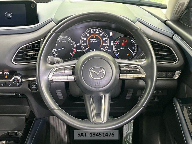 Mazda CX-30 2019-09 7214196-10