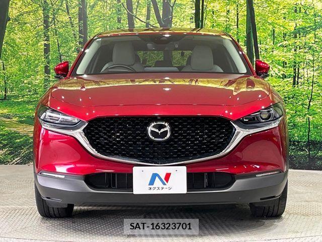 Mazda CX-30 2022-11 7216852-13
