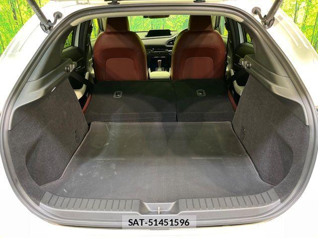 Mazda CX-30 2020-08 7216830-9