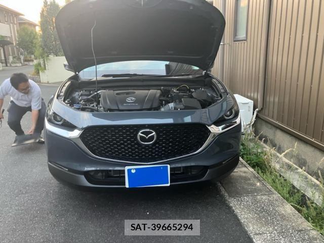 Mazda CX-30 2019-11 7216818-0