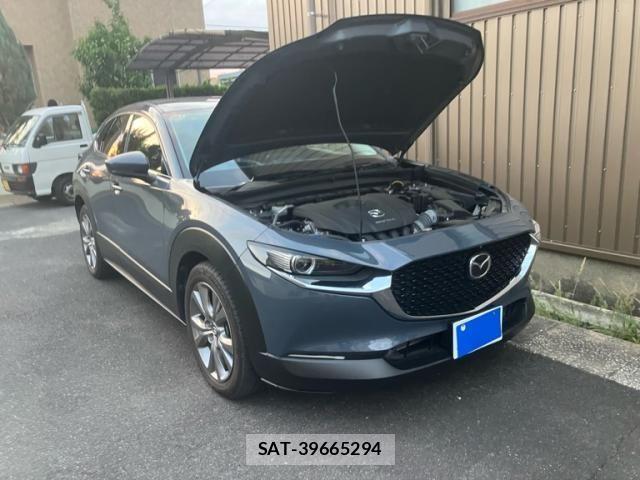 Mazda CX-30 2019-11 7216818-2