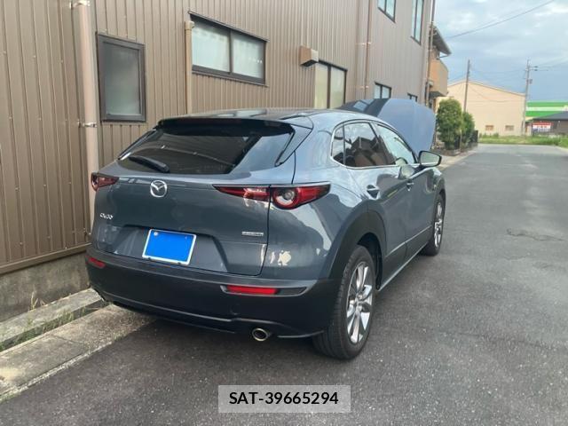 Mazda CX-30 2019-11 7216818-4
