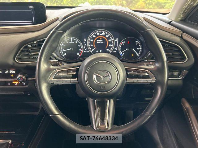 Mazda CX-30 2021-03 7250367-10