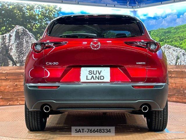 Mazda CX-30 2021-03 7250367-14