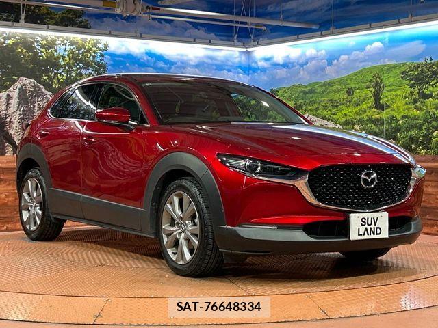 Mazda CX-30 2021-03 7250367-15