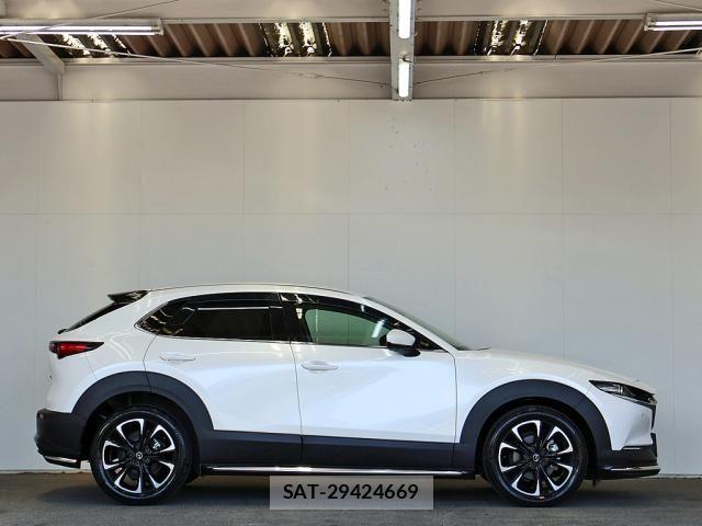 Mazda CX-30 2020-03 7250356-11