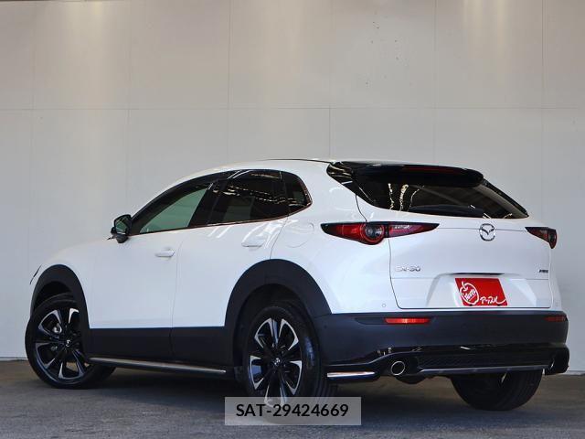 Mazda CX-30 2020-03 7250356-14