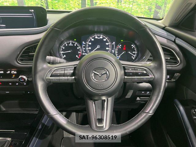 Mazda CX-30 2023-04 7250358-11