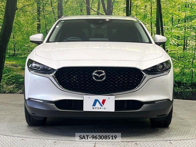 Mazda CX-30 2023-04 7250358-14