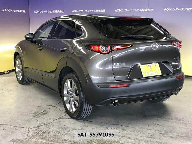 Mazda CX-30 2021-07 7250359-9