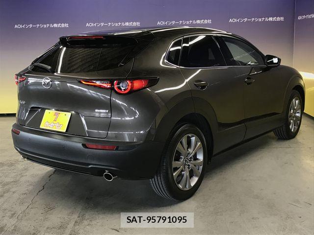 Mazda CX-30 2021-07 7250359-10
