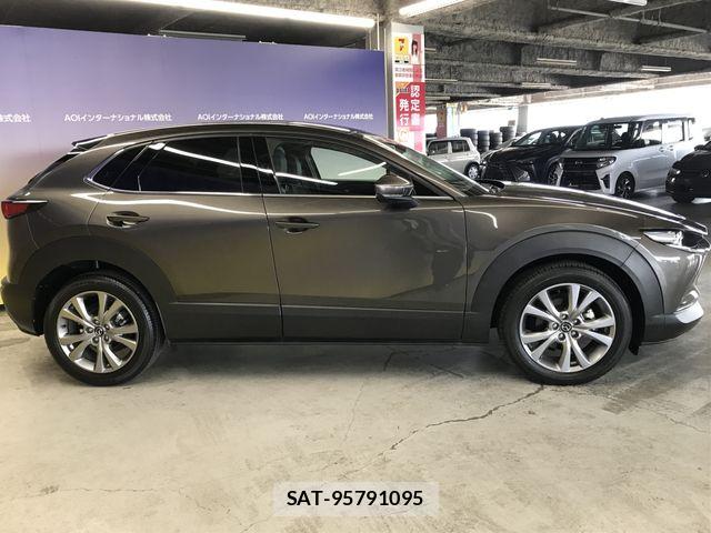 Mazda CX-30 2021-07 7250359-6
