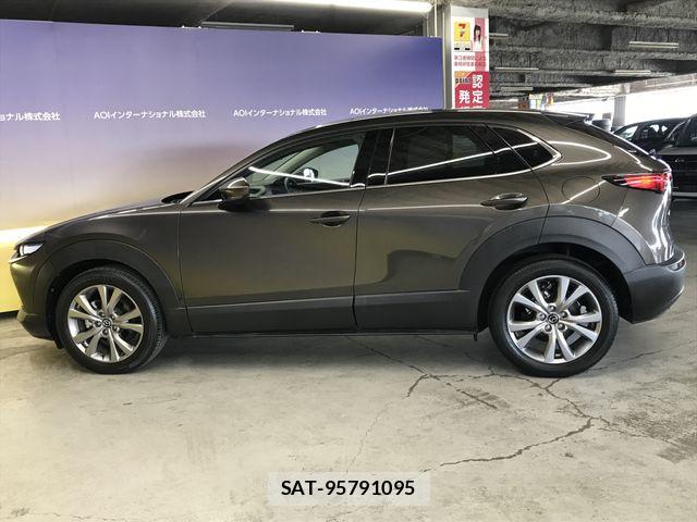 Mazda CX-30 2021-07 7250359-7