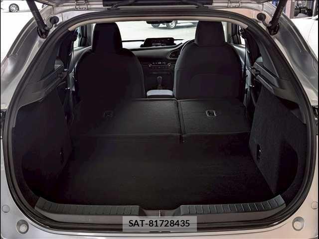 Mazda CX-30 2021-04 7250363-12