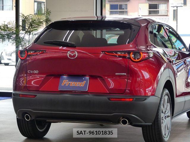 Mazda CX-30 2024-09 7250354-9