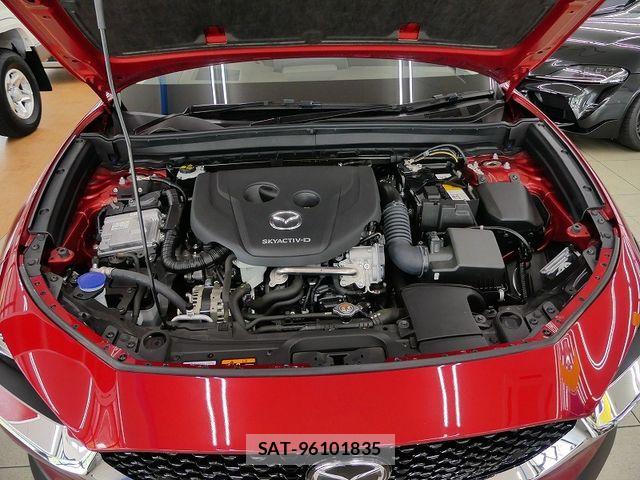 Mazda CX-30 2024-09 7250354-19