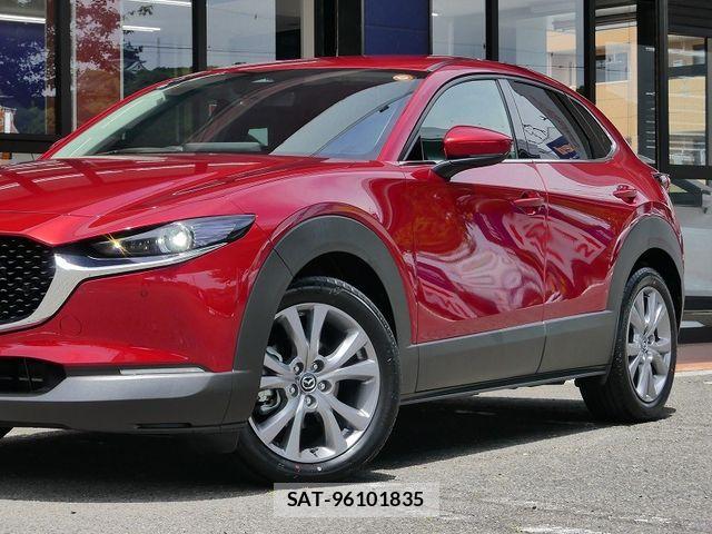Mazda CX-30 2024-09 7250354-7