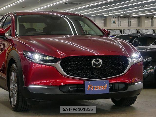 Mazda CX-30 2024-09 7250354-8