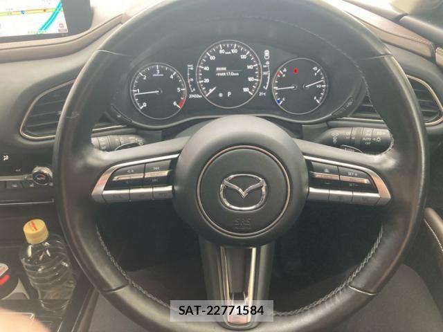 Mazda CX-30 2021-10 7250353-18