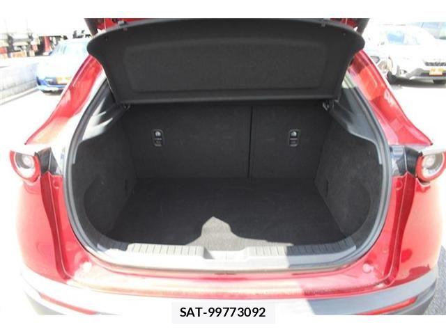 Mazda CX-30 2020-08 7326492-28