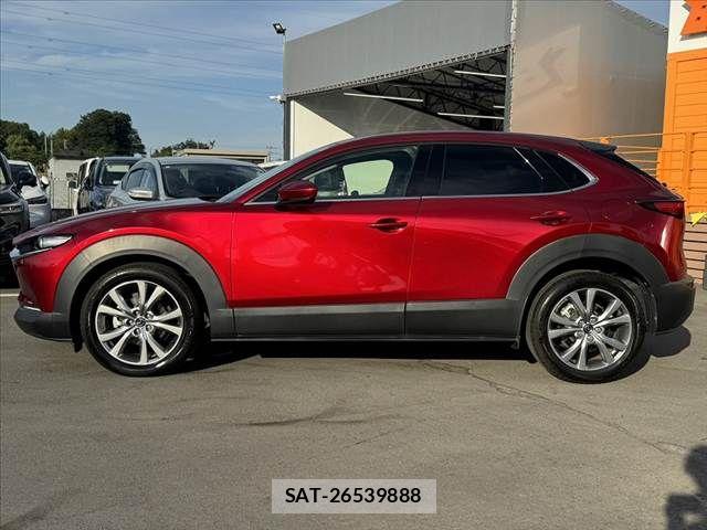 Mazda CX-30 2021-01 7326480-10