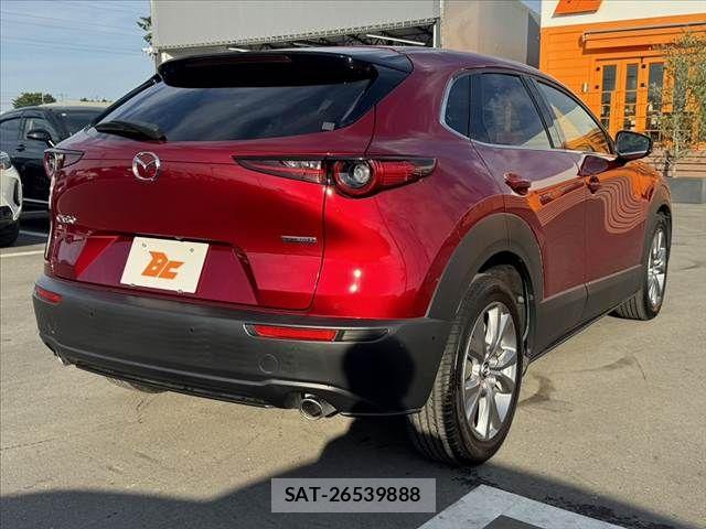 Mazda CX-30 2021-01 7326480-14