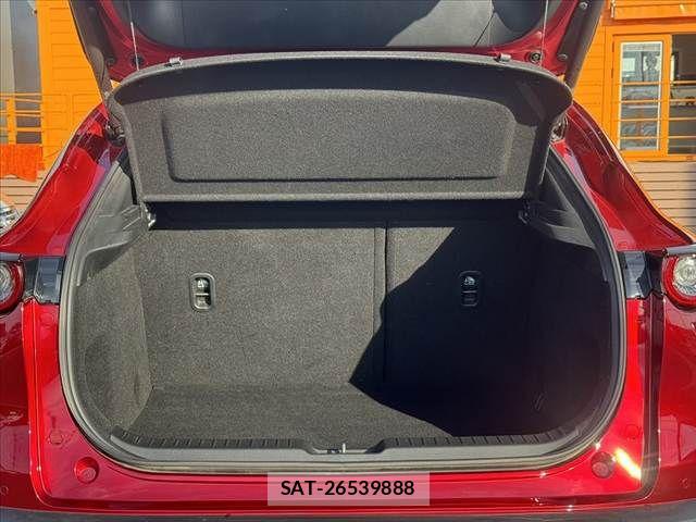 Mazda CX-30 2021-01 7326480-18