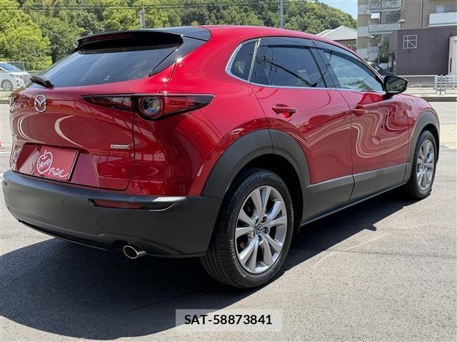 Mazda CX-30 2020-03 7326484-4
