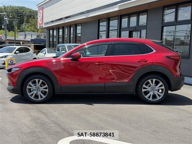 Mazda CX-30 2020-03 7326484-7