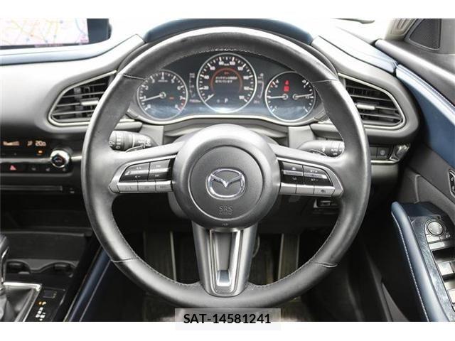 Mazda CX-30 2020-07 7357389-12