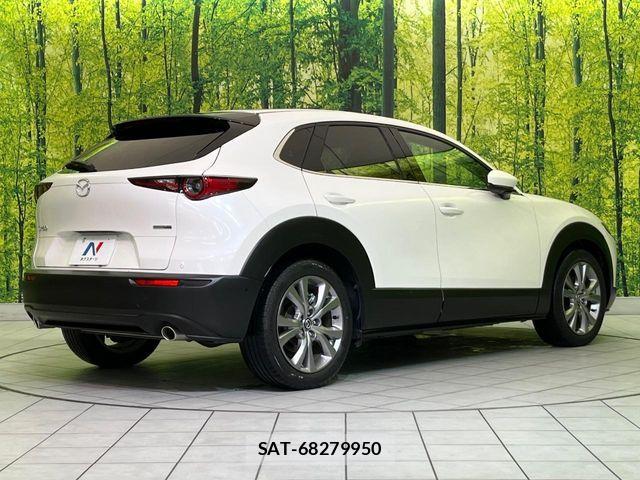Mazda CX-30 2021-01 7357381-16