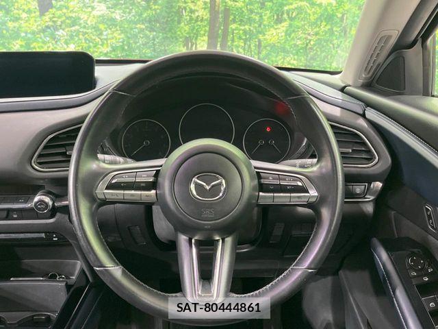 Mazda CX-30 2020-03 7391763-10