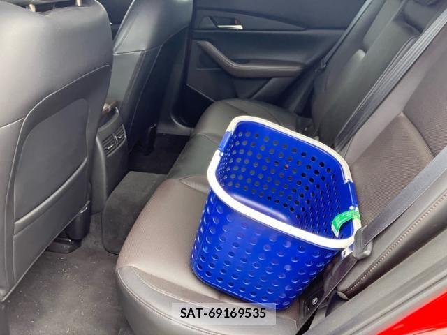 Mazda CX-30 2022-08 7453736-12