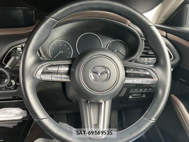 Mazda CX-30 2022-08 7453736-23