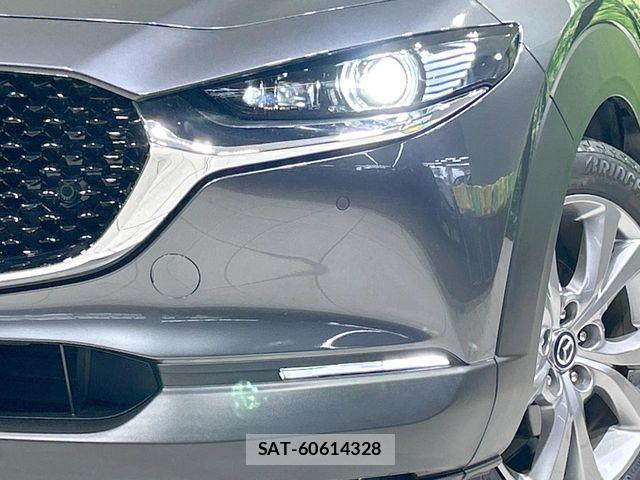 Mazda CX-30 2021-06 7453739-11