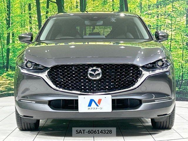 Mazda CX-30 2021-06 7453739-13